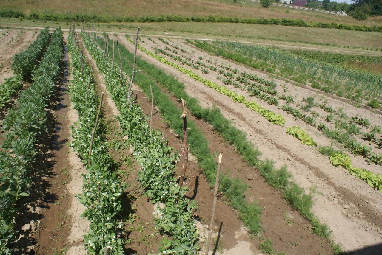 Agrodomki Okej-Bialy Dom Gardna Wielka Exterior photo